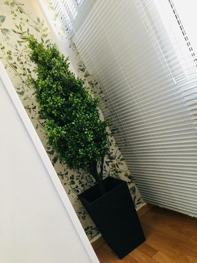 Apartamento Good Vibes Apartment Zaragoza Exterior foto